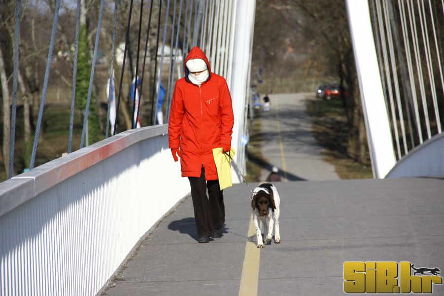 setnja_gradom_7_1_2012_sibhr_22