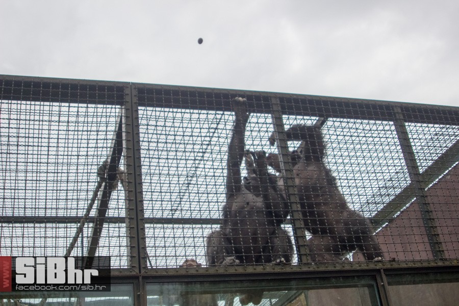 zoo_uskrs_2016_sibhr_67