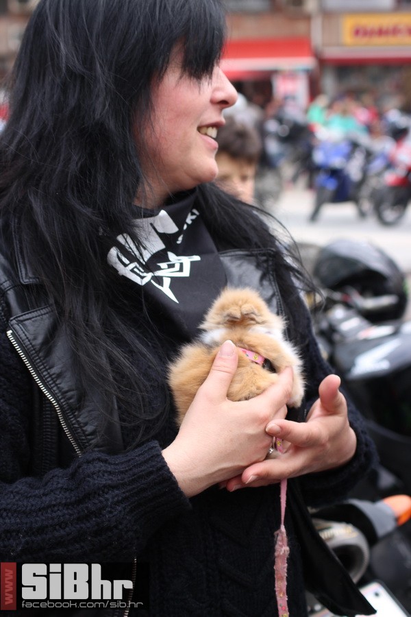 motozeke1804_zoran_osijek_2014_