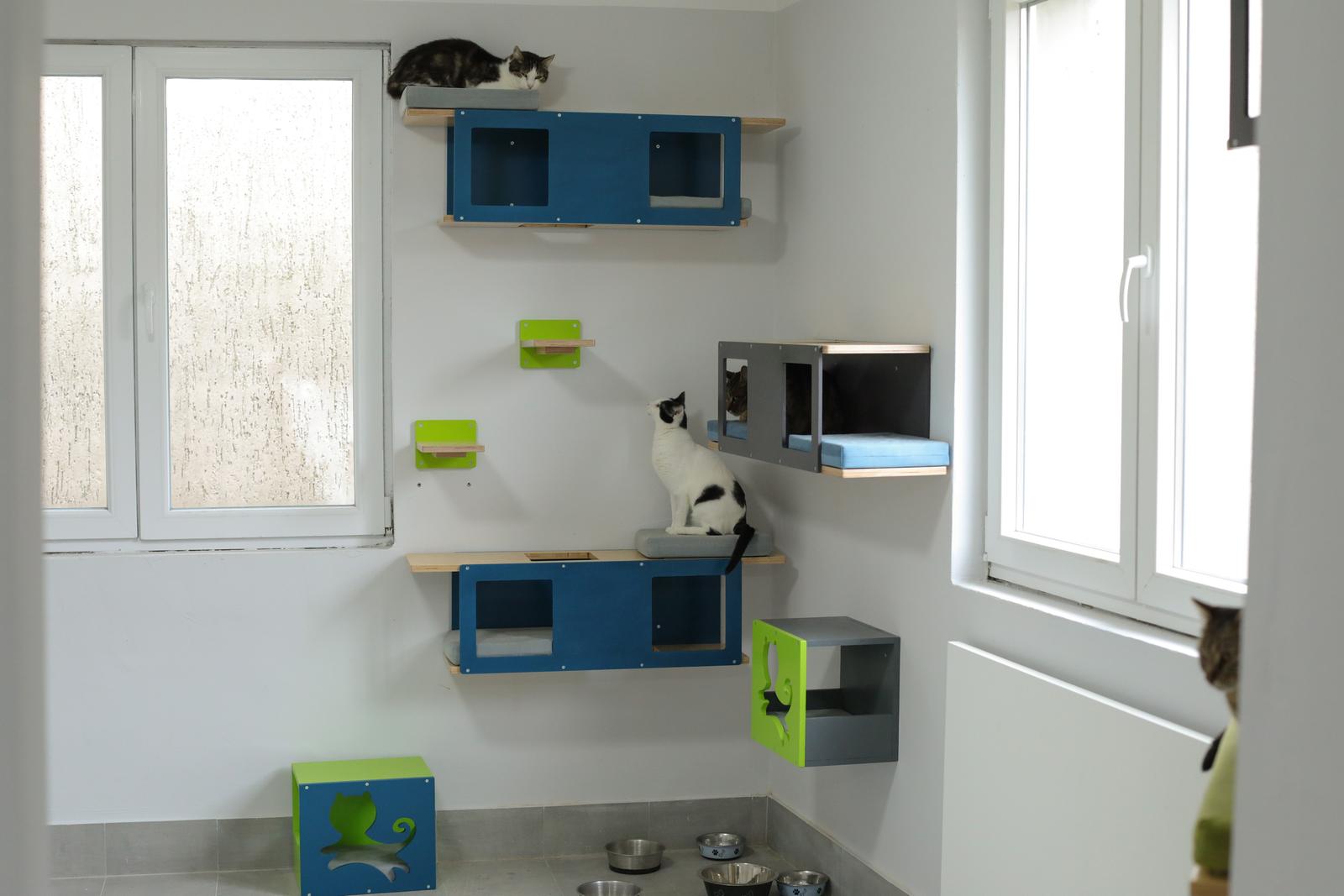 Udruga 9 života Udruga 9 života