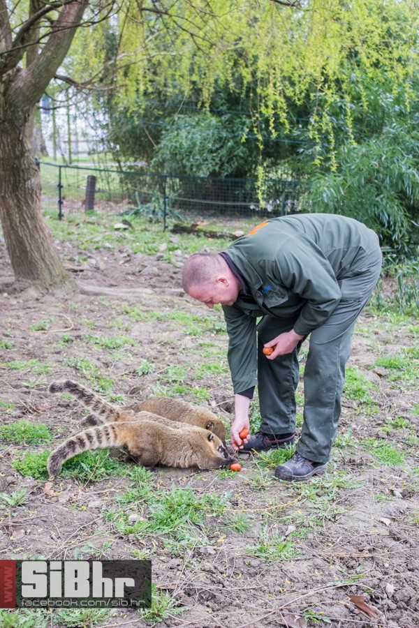zoo_uskrs_2016_sibhr_31