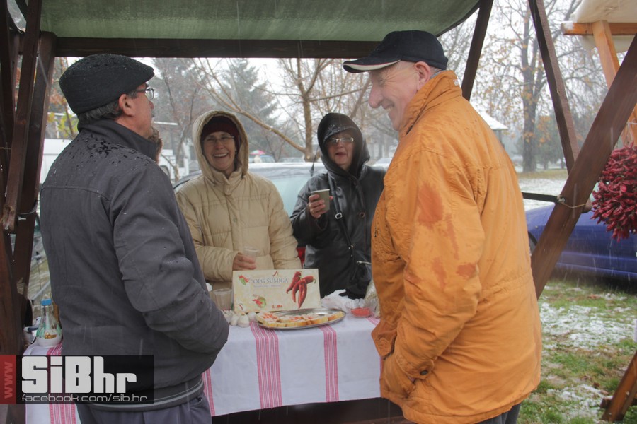 karanac_2015_SiBhr_10
