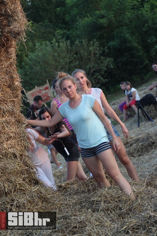 slama_dan_drugi_SiBhr_85 slama_dan_drugi_SiBhr_85