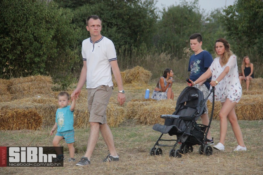 slama2015_subota_SiBhr48