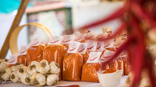 Amazing Amazon of Europe