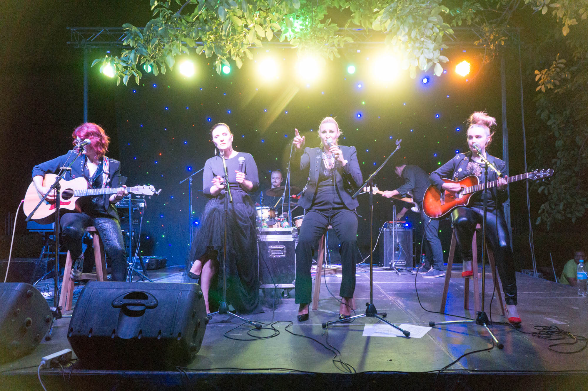 DunavArt Festival u Erdutu