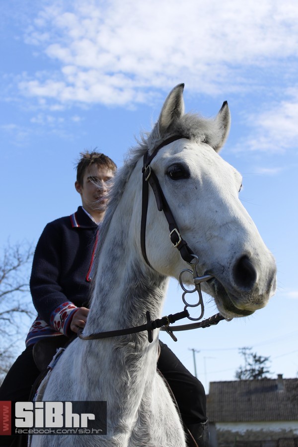 baranja_jahanje_39 baranja_jahanje_39