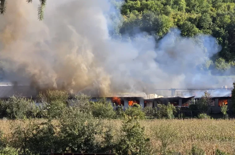 požar stolarija window