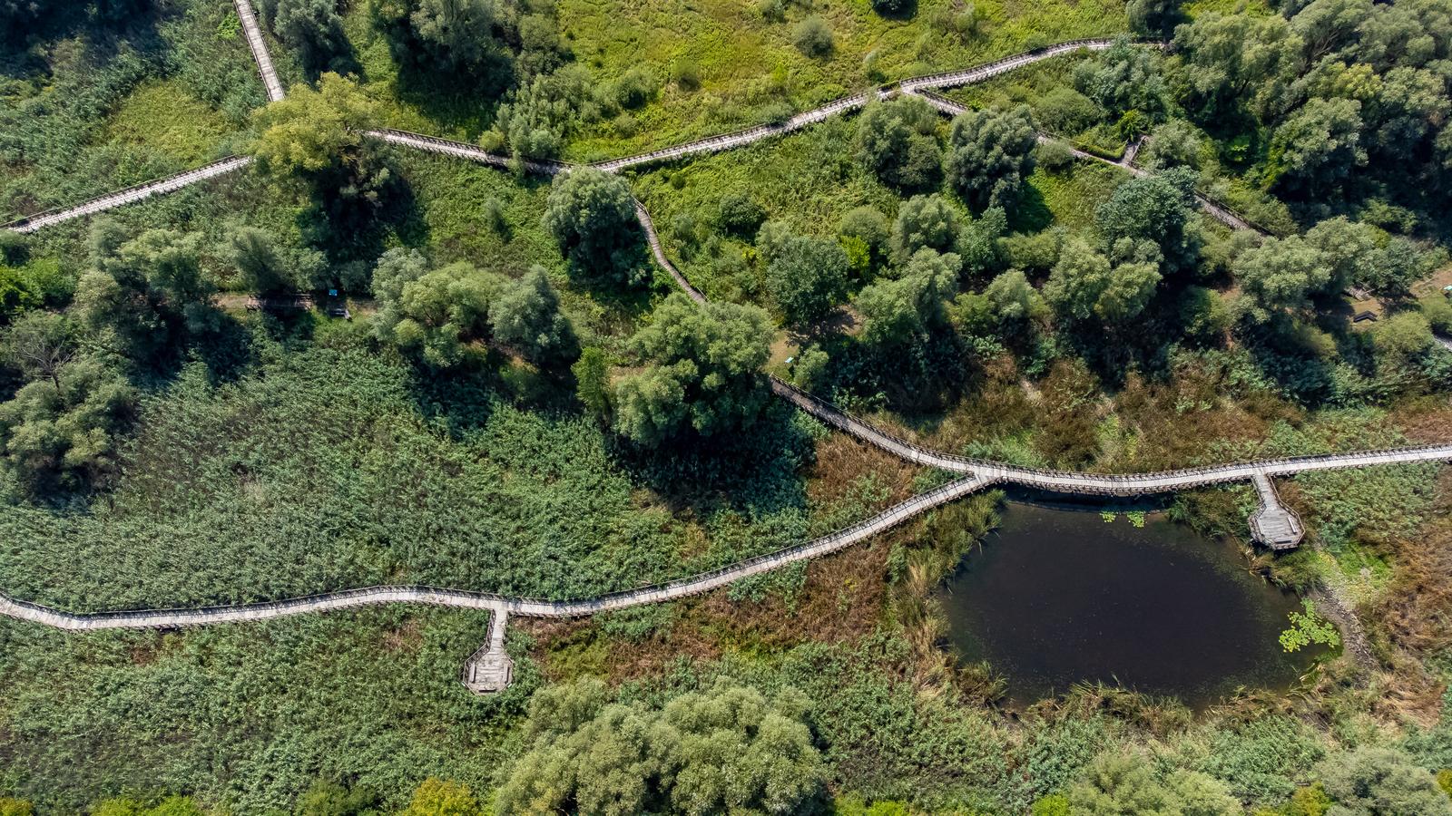 Kopački rit u ljeto 2022.