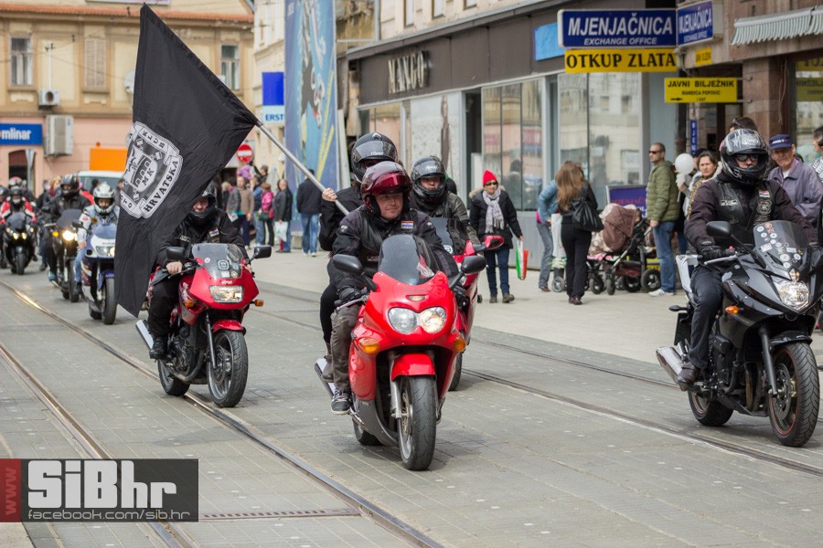 gnijezdo2015_10