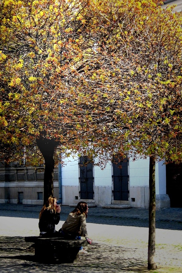 osijek_robert_marinkovic_07