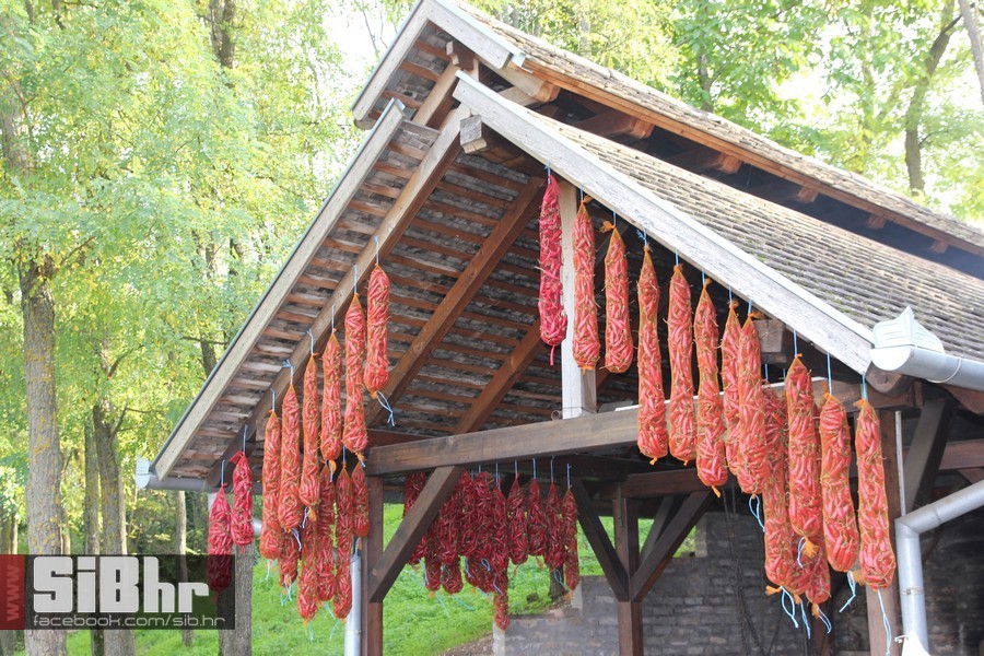 vinski_maraton_zamjevac_SiBhr_5 vinski_maraton_zamjevac_SiBhr_5