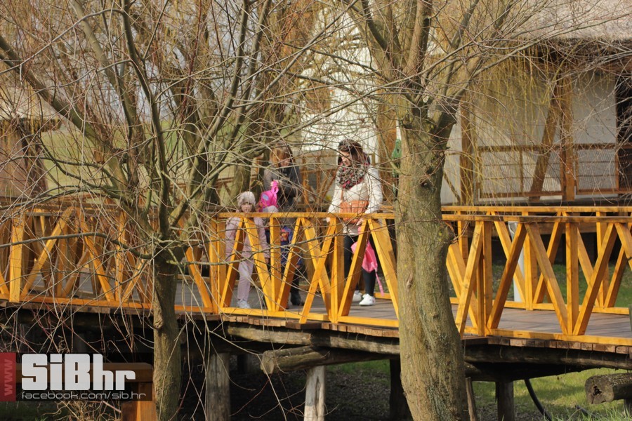 kopacki_rit_ozujak2015_SiBhr_7