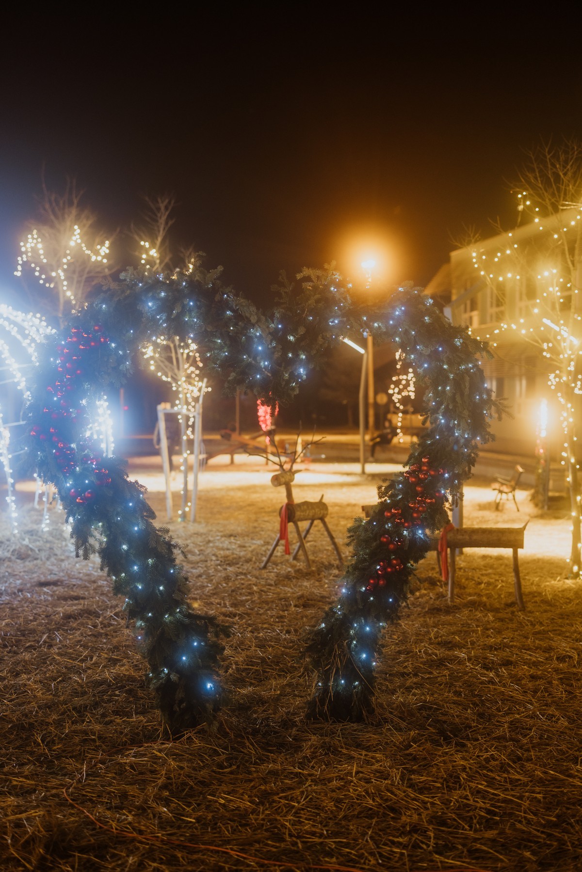 Advent u Čepinu 2023.