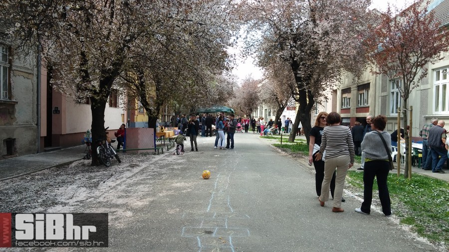 ringlovi_2014_15