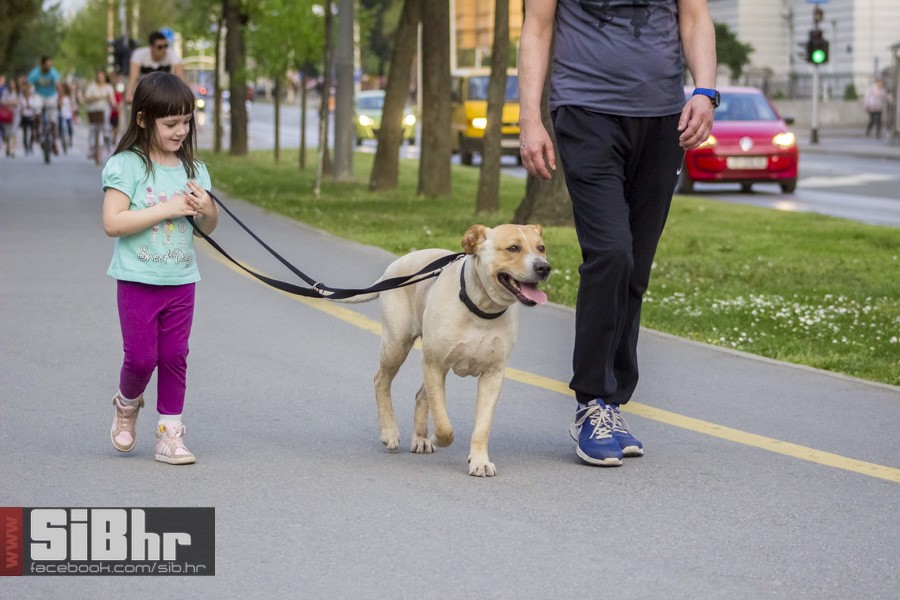 osjecani_u_setnji_gradom_117 osjecani_u_setnji_gradom_117