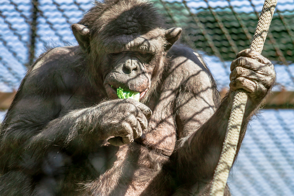 ZOO vrt  Osijek u proljeće