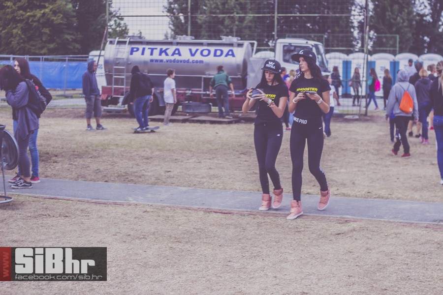 pannonian_petak2015_SiBhr06