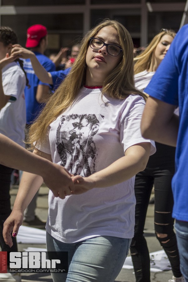 _MG_0884