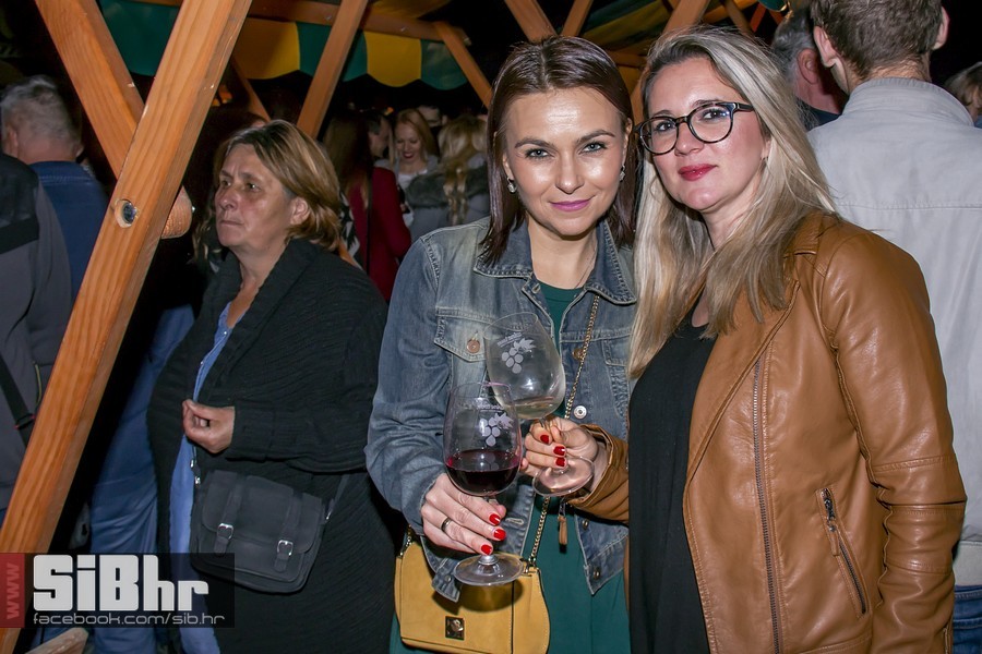 Vecer_vina_i_umjetnosti_SiB_hr-