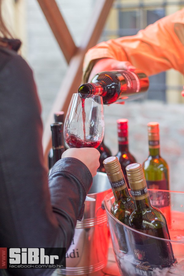 wine_fest_nocni_program_12