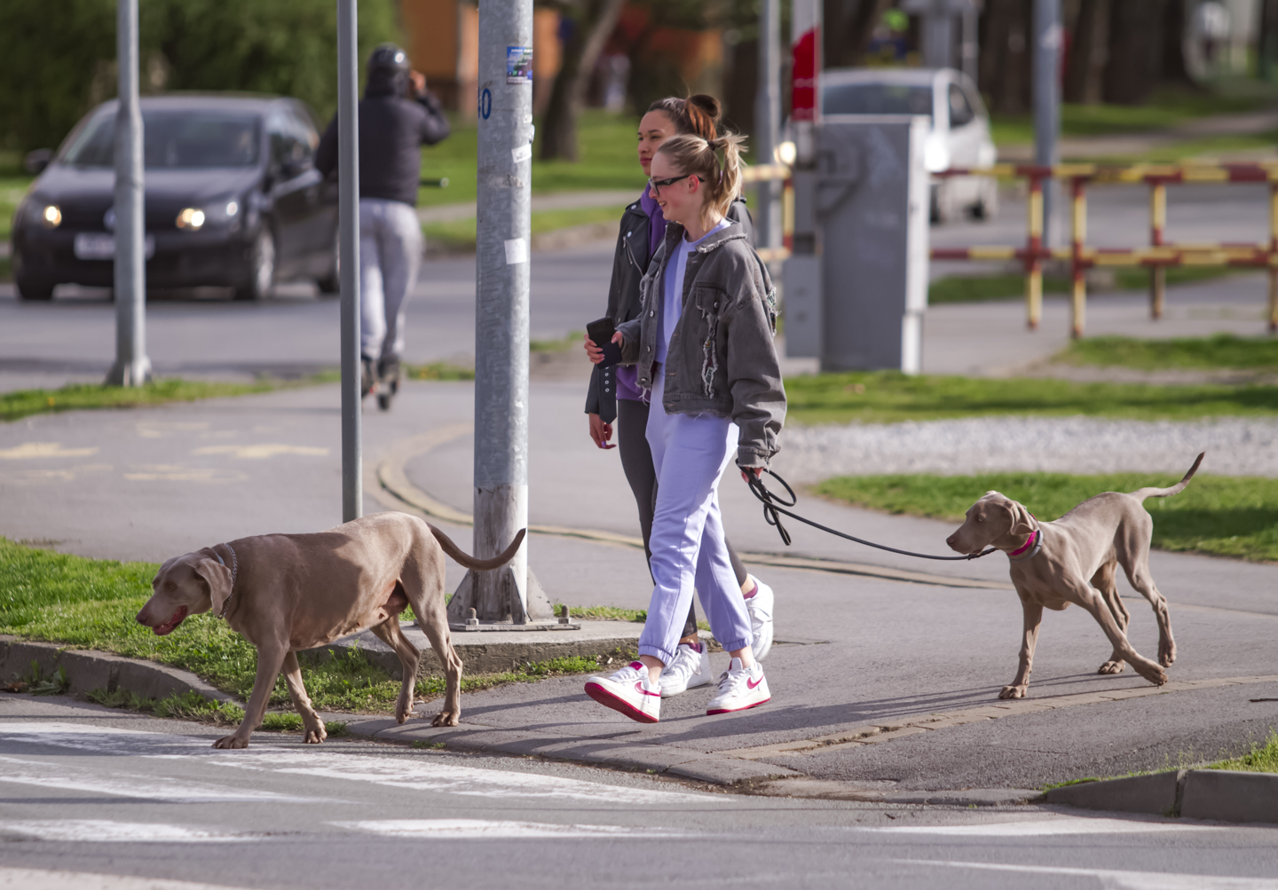 Legice i lege u nedjeljnoj šetnji, ožujak 2023.
