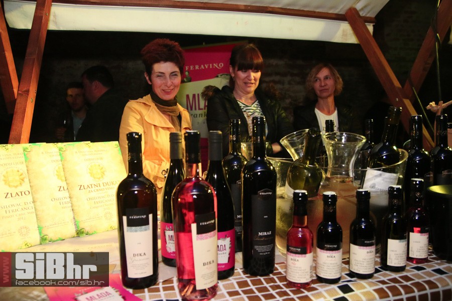 dani_vina_turizma_2016_sibhr_55