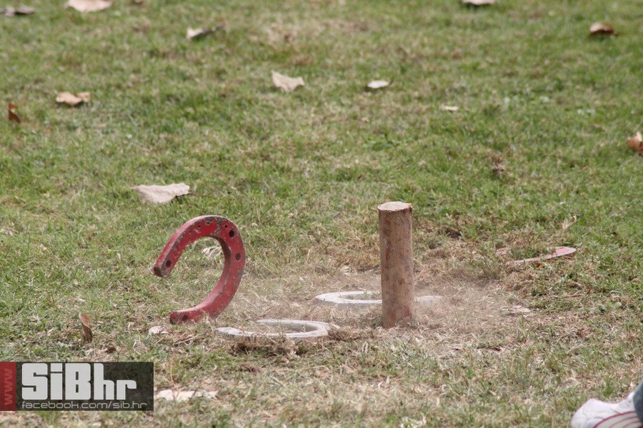 brodjanci_olimpijada_2014_SiBhr