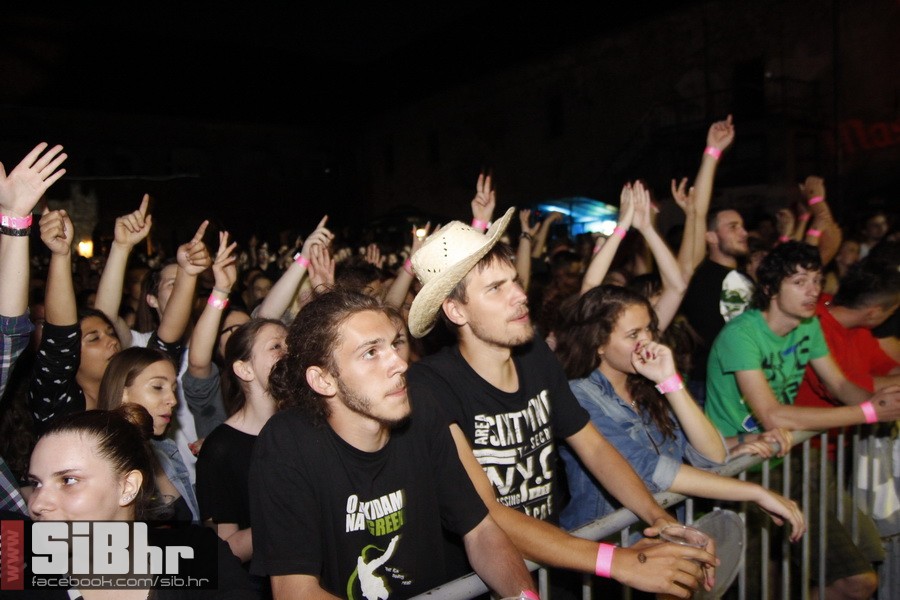 dubioza_sars_2014_zoran_bastion dubioza_sars_2014_zoran_bastion