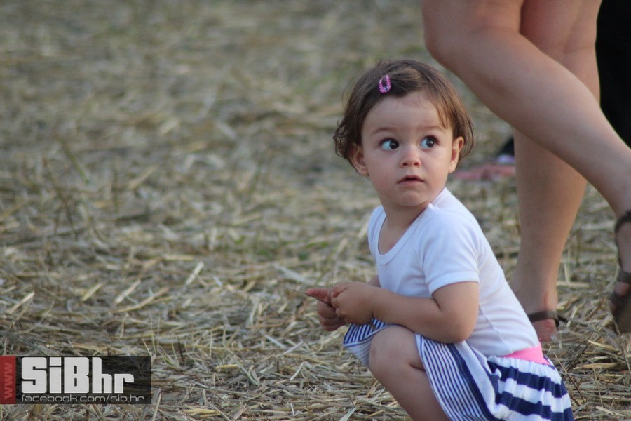 slama_dan_drugi_SiBhr_86 slama_dan_drugi_SiBhr_86