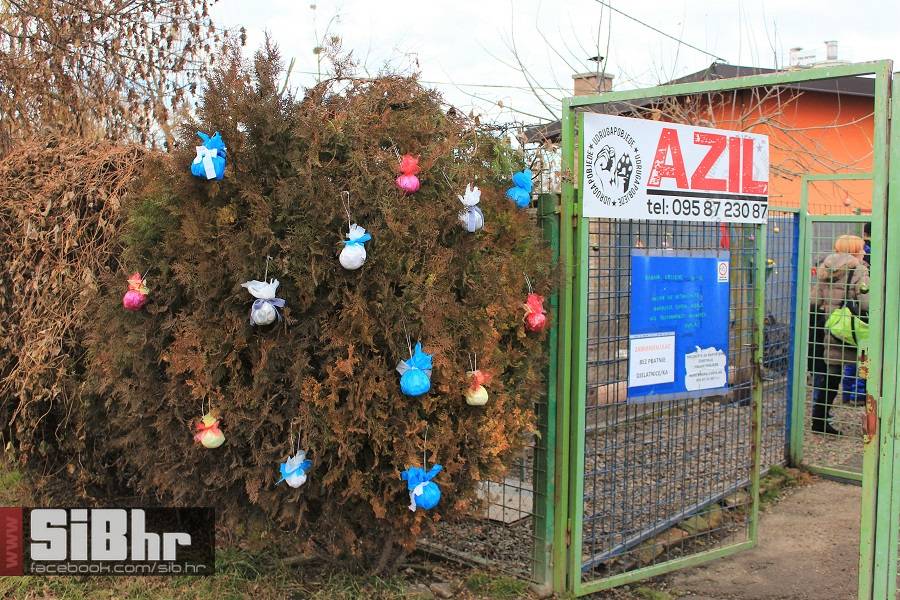 azil_bozic_setnja_16