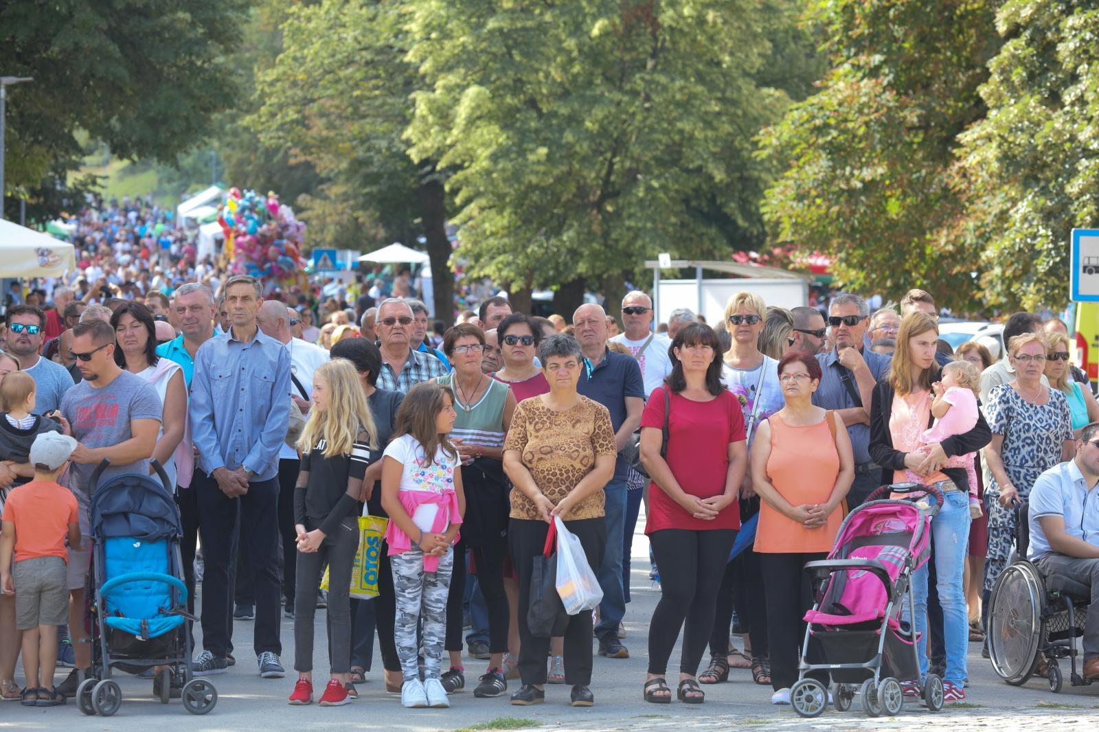 Velika Gospa u Aljmašu