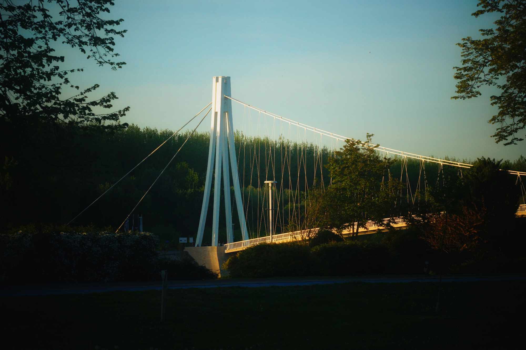 Grad na Dravi, Zoološki vrt i Kopački rit iz perspektive Tonija Šimunića