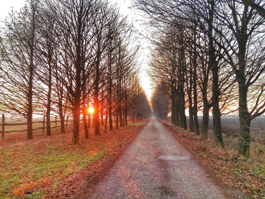 baranja_by_gordan_trtanj_SiBhr_