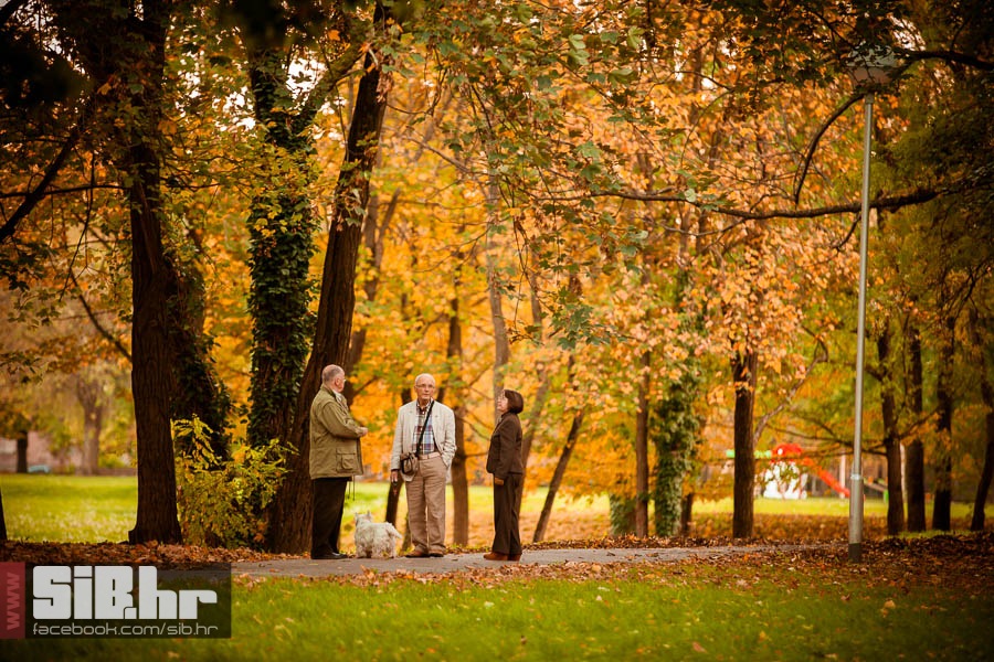osjecka_jesen_19_21_10_2013_mba