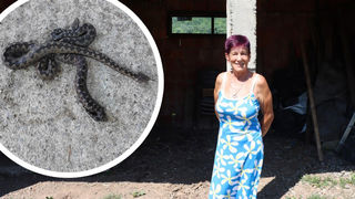 Image 6063689 (auto) Image 6063689 (auto)