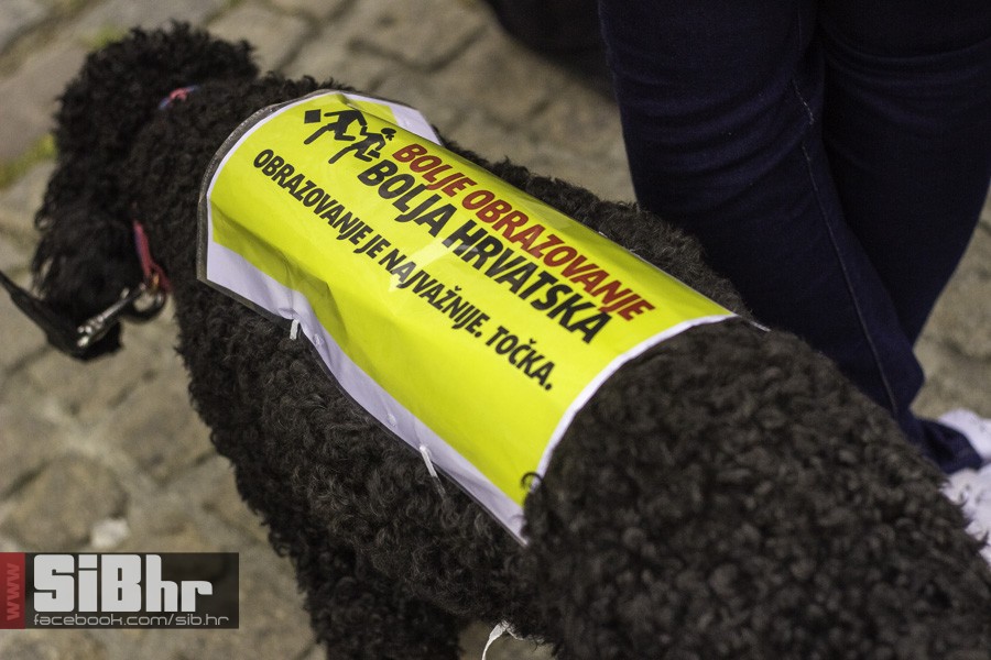 prosvjed_kurikularna_reforma_os prosvjed_kurikularna_reforma_os