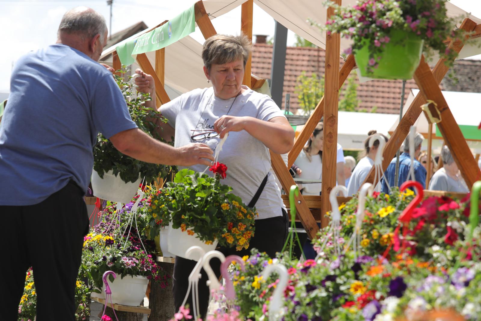 Proljetni sajam u Čepinu Proljetni sajam u Čepinu