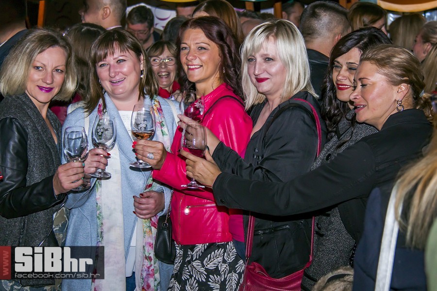 Vecer_vina_i_umjetnosti_SiB_hr-