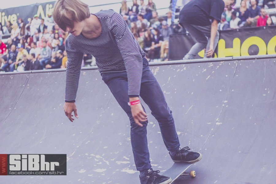 pannonian_petak2015_SiBhr24