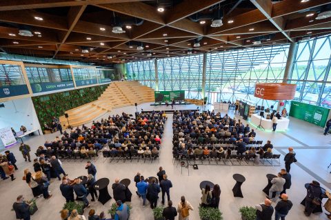 Agro Rocks Agro Rocks