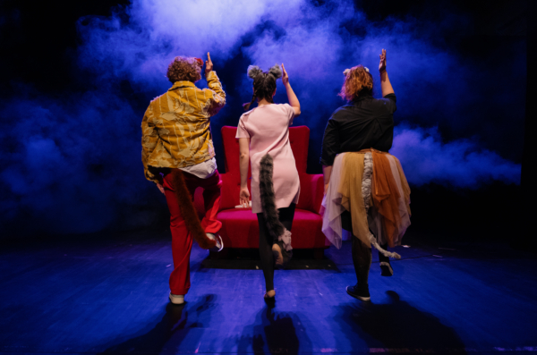 Baby Lasagna – mačke i spačke foto (7)