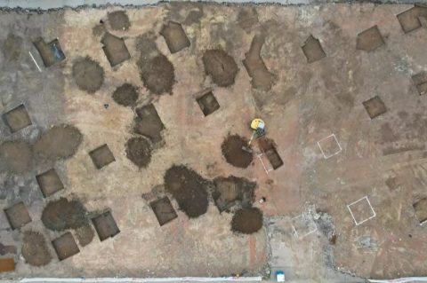 Bez naslova Bez naslova