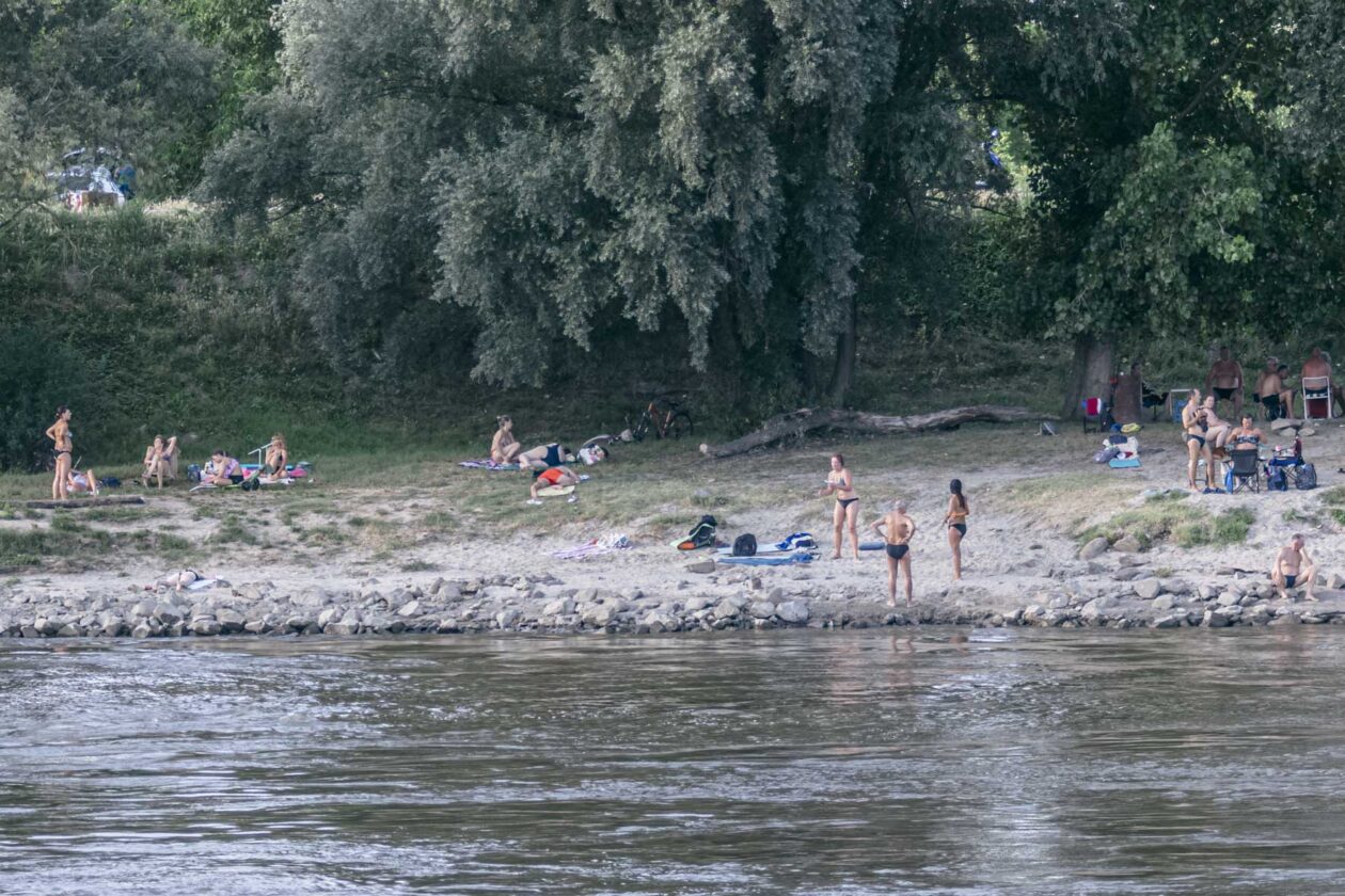 Nedjelja u gradu na Dravi