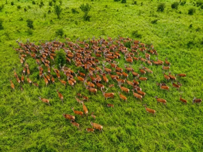 DJI_0380