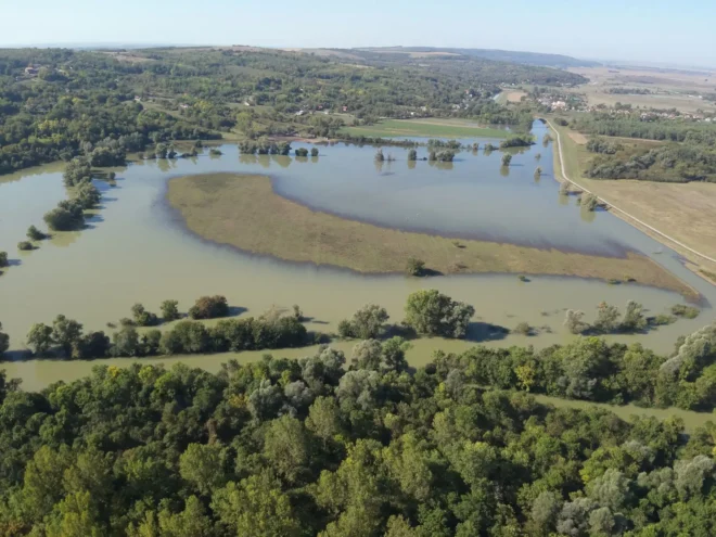 Batina, pripreme za dolazak vodnog vala Batina, pripreme za dolazak vodnog vala