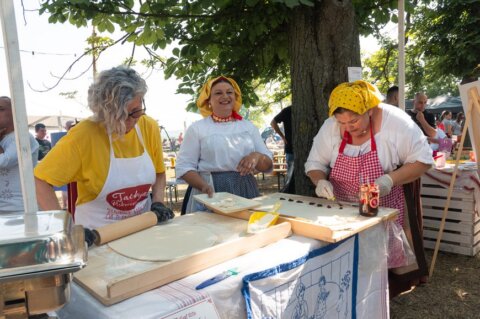 Damir Janković (24) Damir Janković (24)