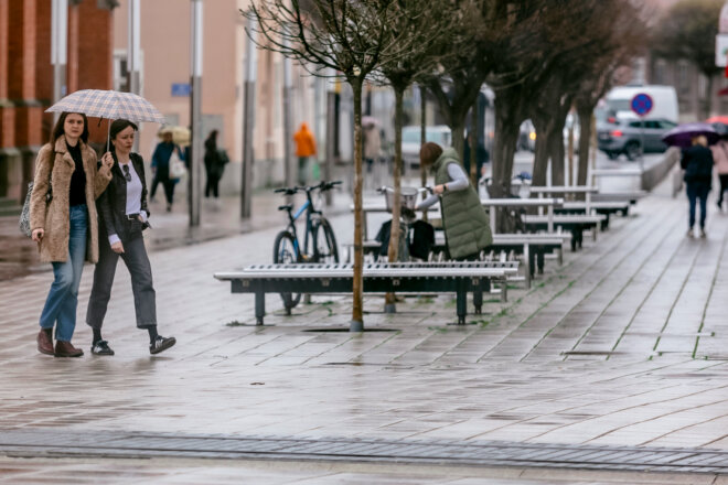 22_03_25_dan_narcisa 22_03_25_dan_narcisa