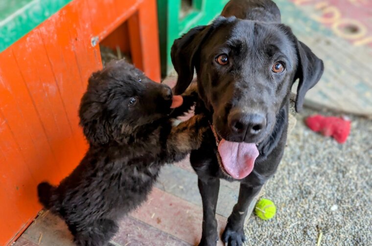 Đino i Đina Đino i Đina