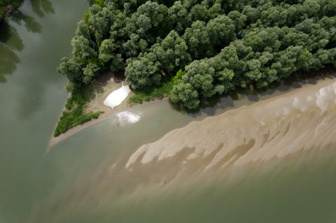 Drava_202505_(c)_Marko-Lorenzo_Blaslov (9) Drava_202505_(c)_Marko-Lorenzo_Blaslov (9)